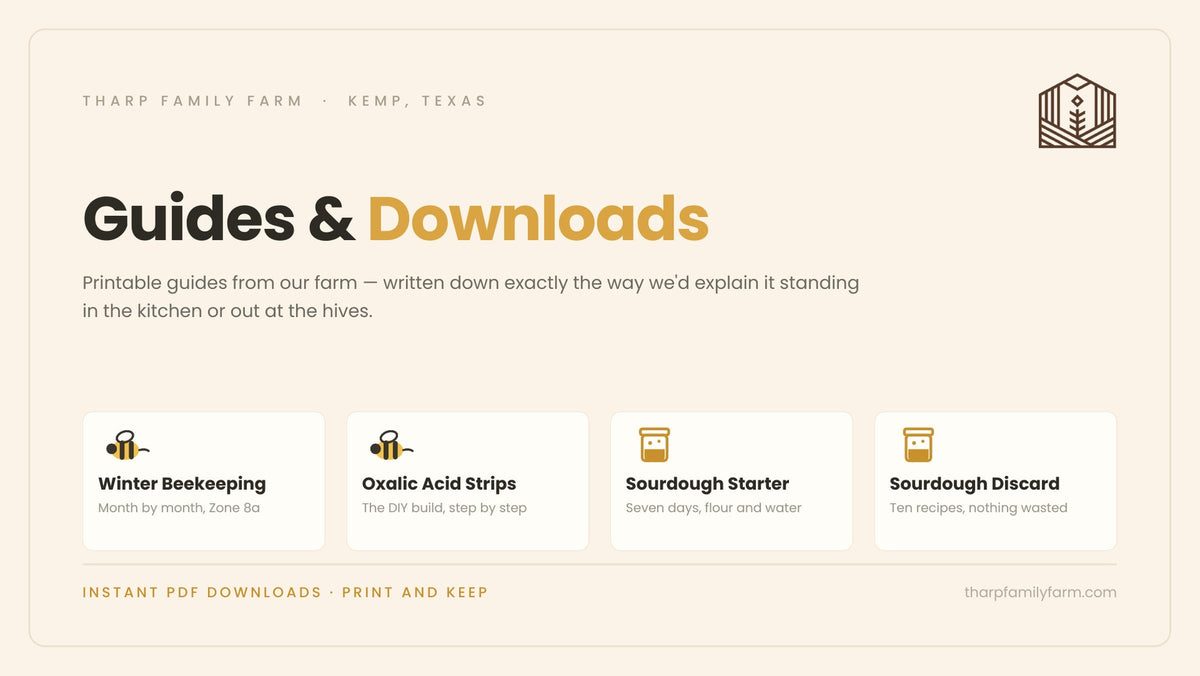 Guides & Downloads