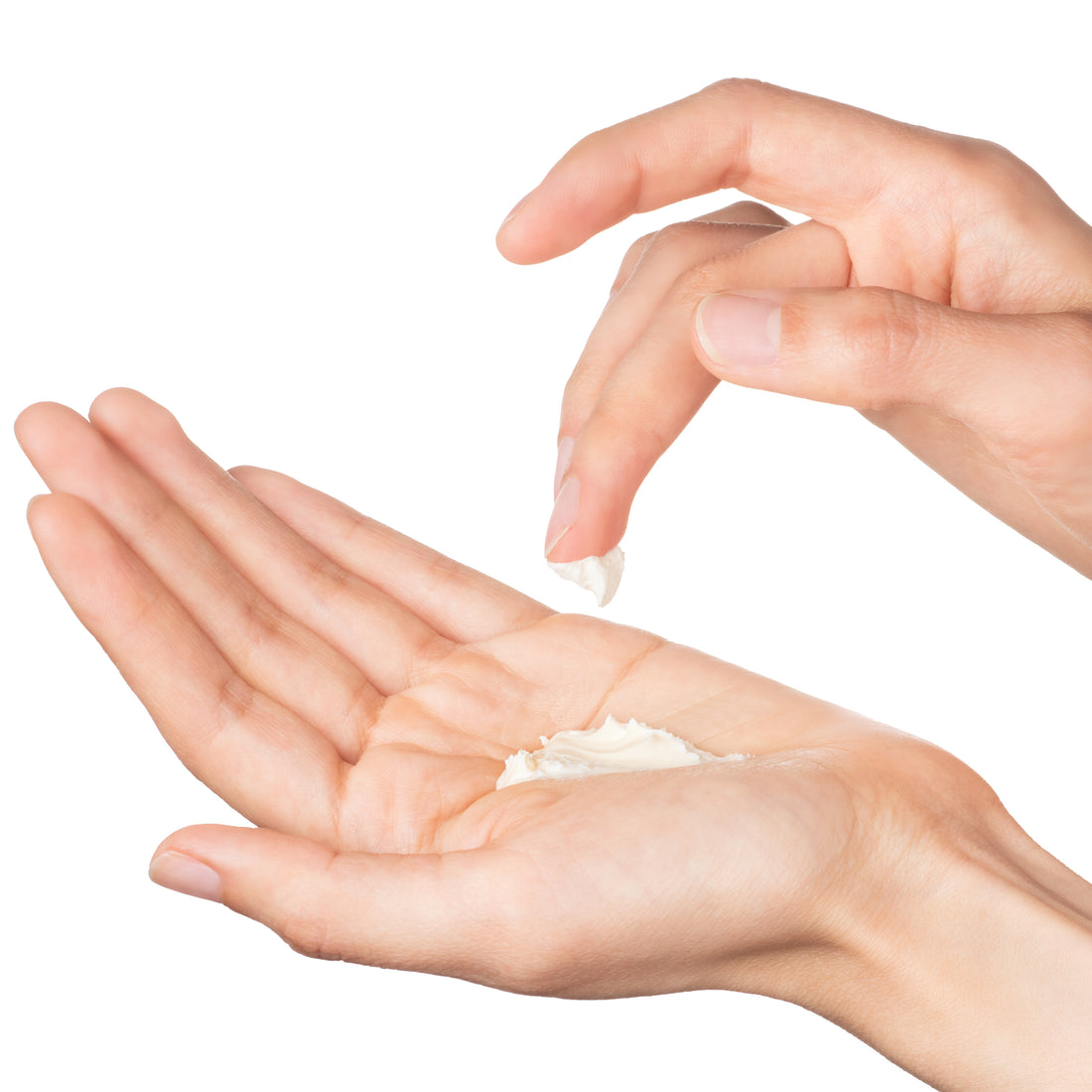 Whipped Tallow &amp; Vanilla Balm