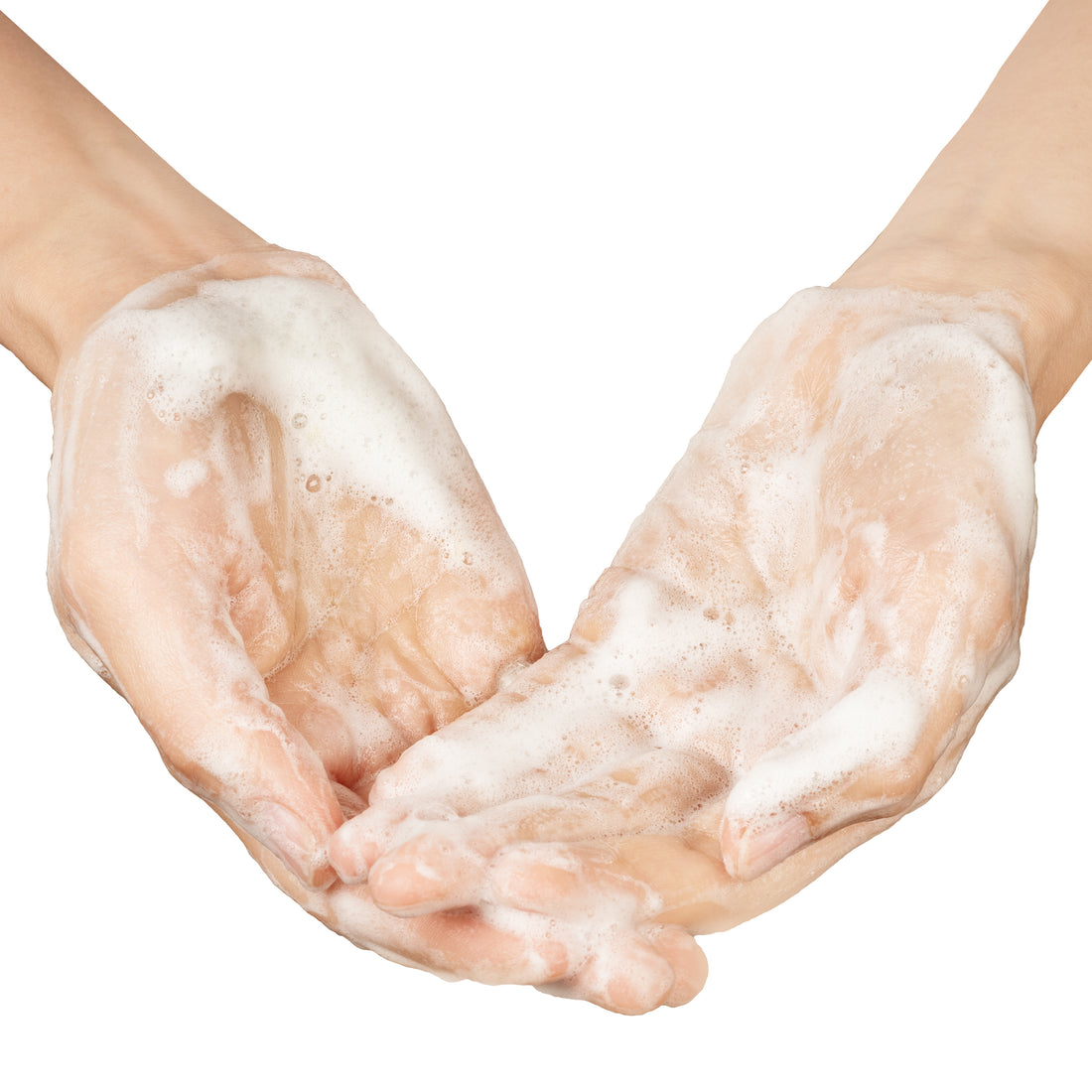 Goatmilk and honey body soap