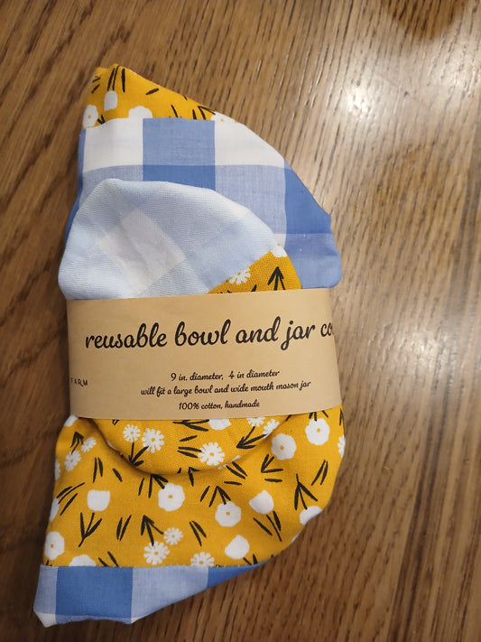 reusable bowl and jar cover