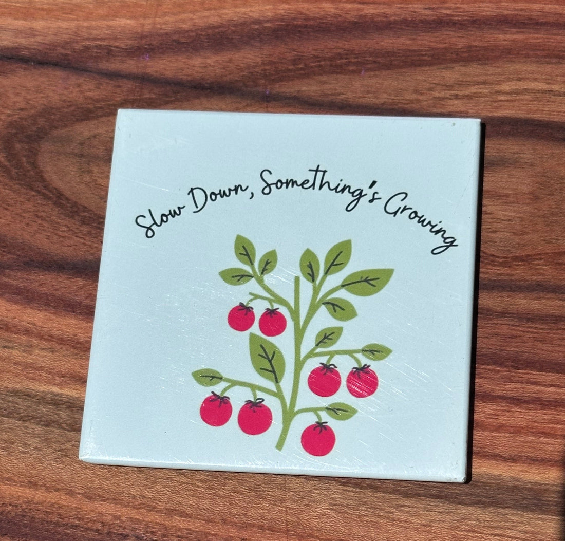 "Slow Down, Something&