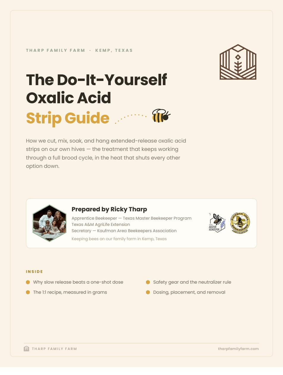 The Do-It-Yourself Oxalic Acid Strip Guide — Digital Guide