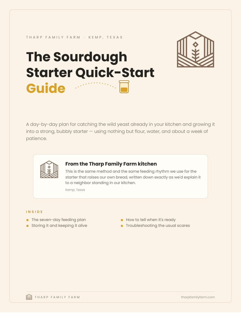 The Sourdough Starter Quick-Start Guide — Digital Guide