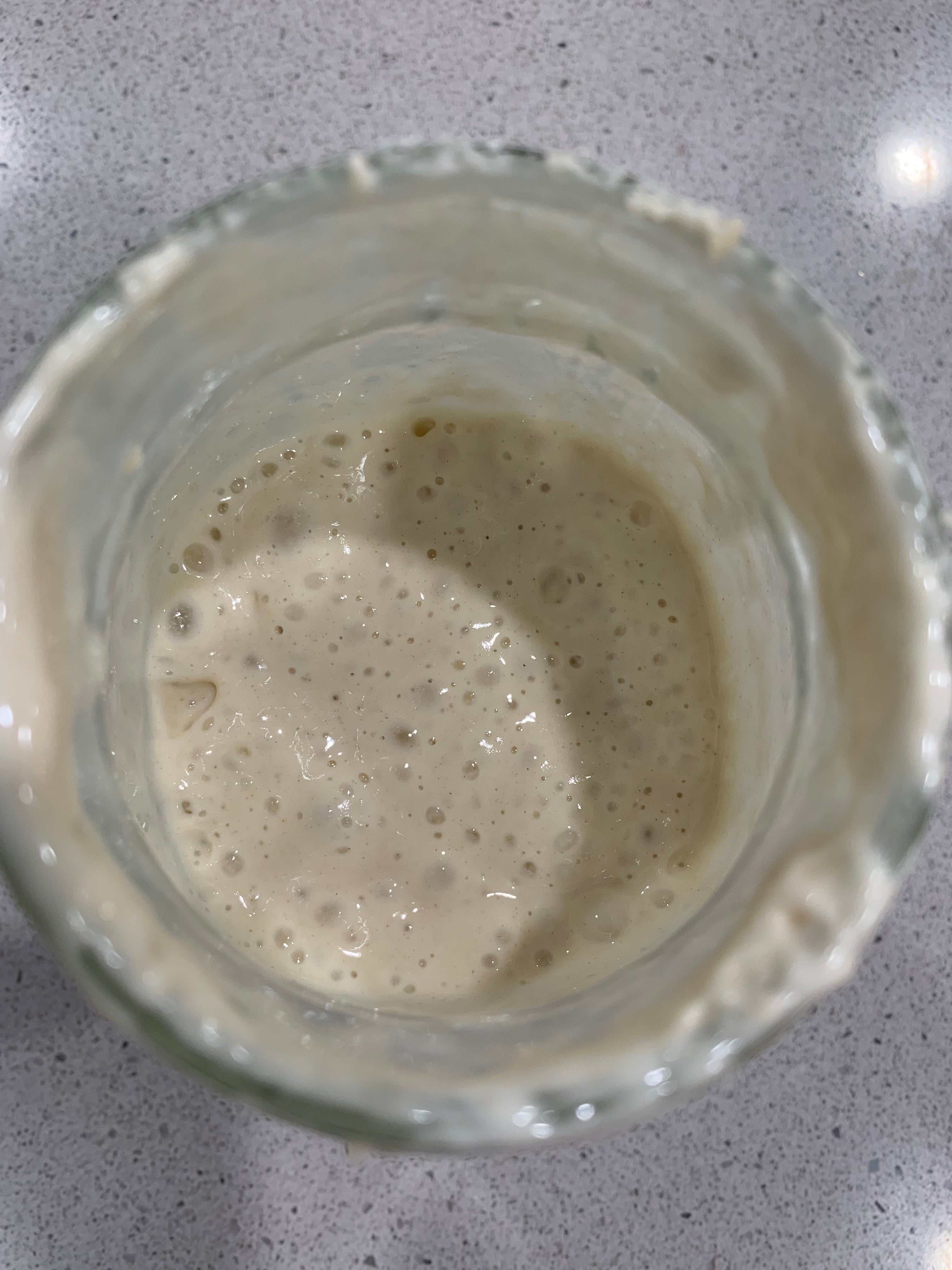 Strong &amp; Stable Dehydrated Sourdough Starter!