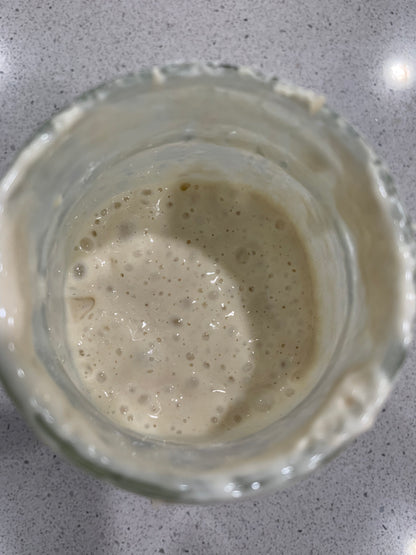 Strong &amp; Stable Dehydrated Sourdough Starter!